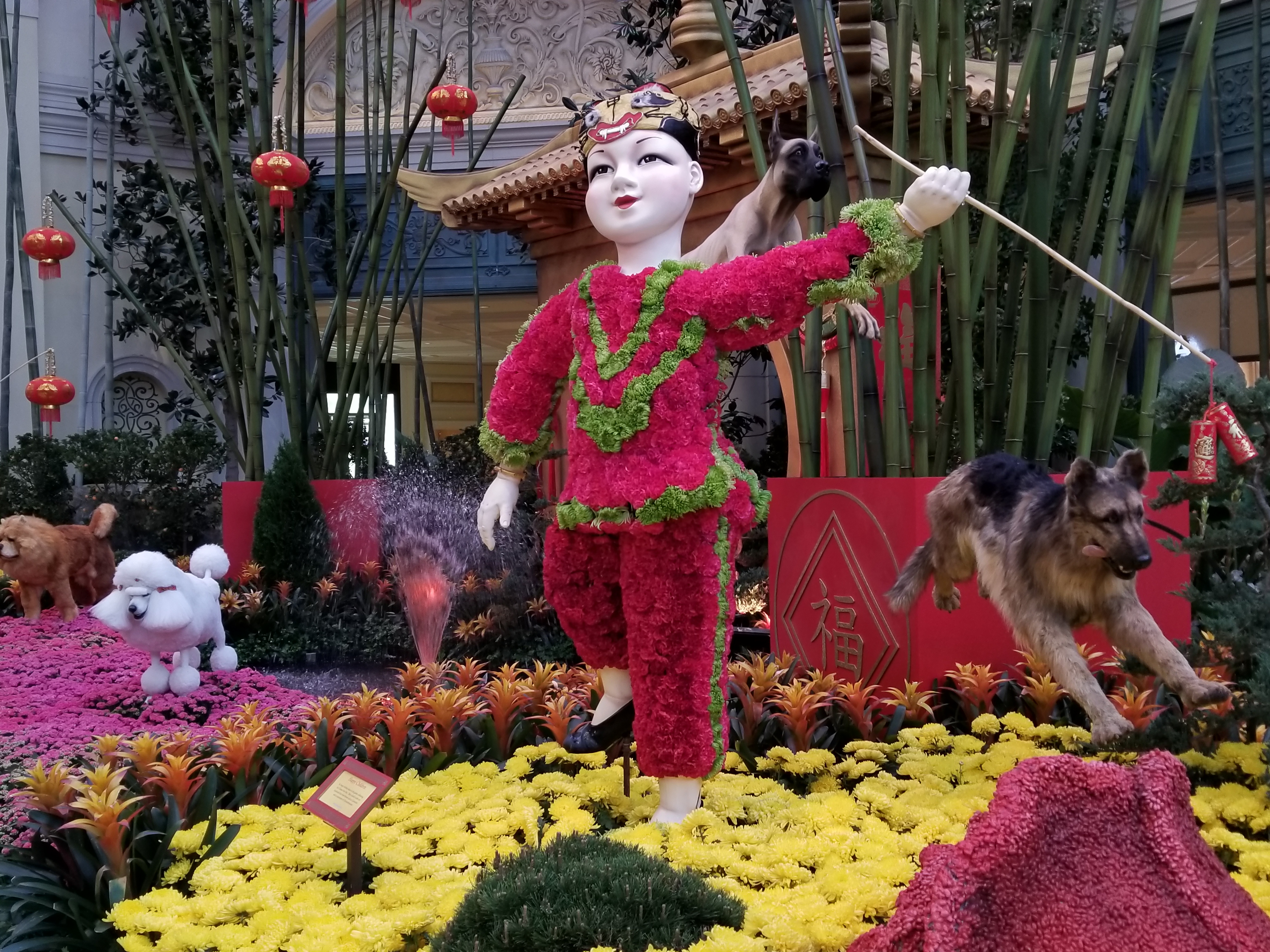 Bellagio Conservatory, Chinese New Year - Year of the dog